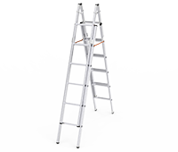 Dual Output Aluminum Extension Ladder